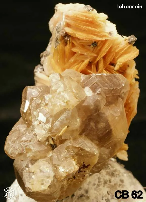 CERUSITE sur BARYTINE : Min�raux de collection 25 Saint-M�dard (16)