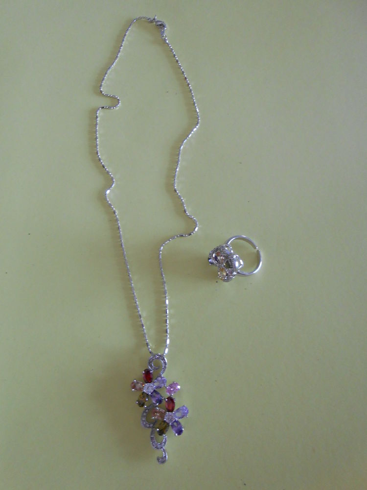 CHAINE ARGENTEE TRES FINE ET PENDENTIF 8 Dijon (21)