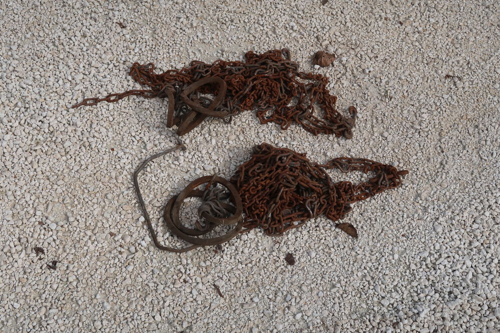 CHAINE A NEIGE 2 La Teste-de-Buch (33)