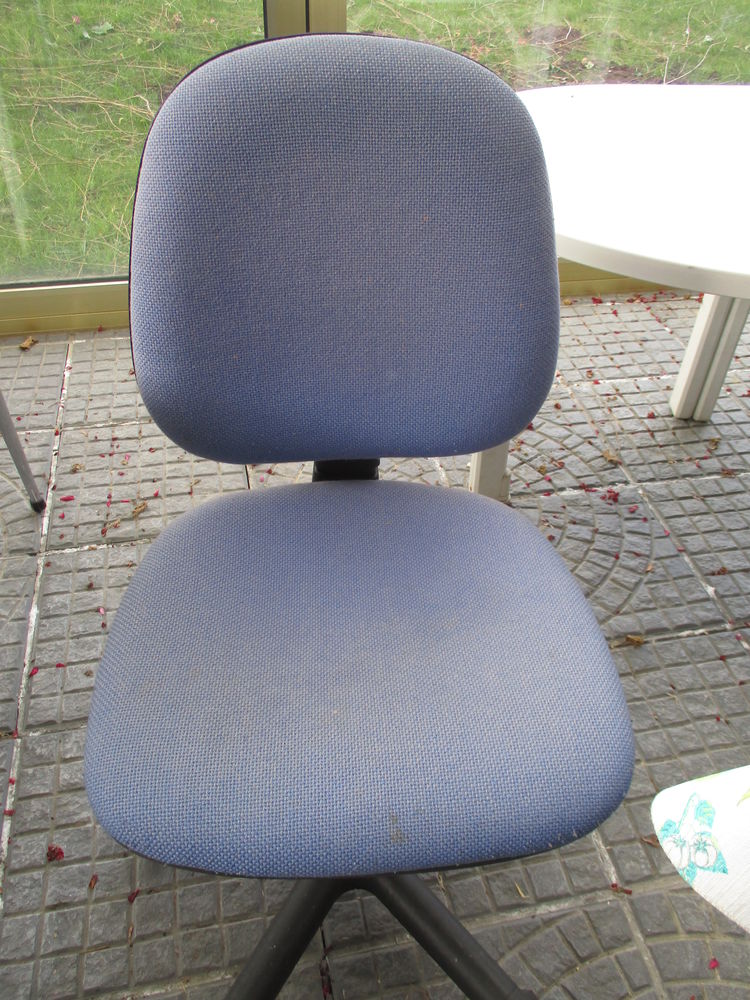 chaise avec roulettes et r�glable bleue ou rose = 10 euros 0 M�rignies (59)