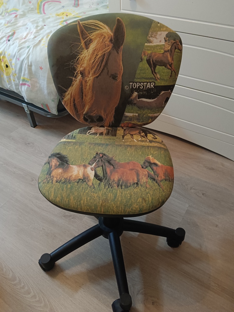 Chaise de bureau pivotante motif chevaux 12 Carcassonne (11)