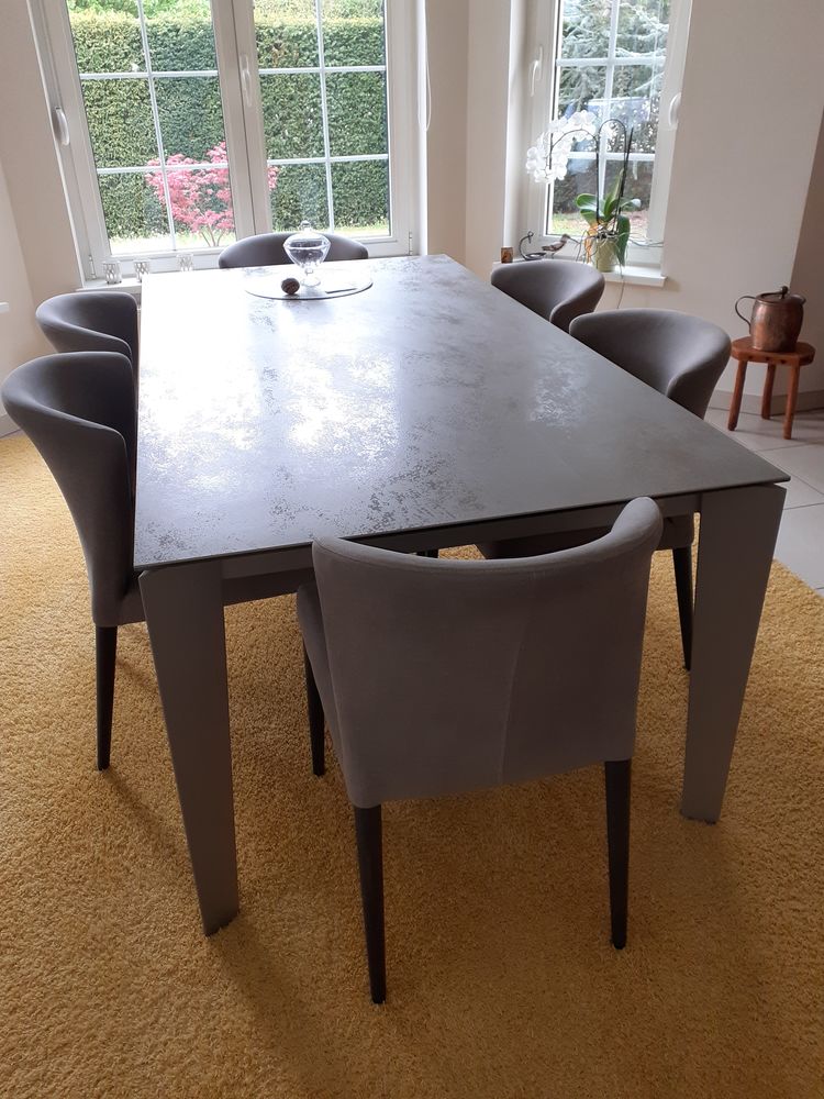 Chaise design CIRCA gris clair 1080 Niederhergheim (68)