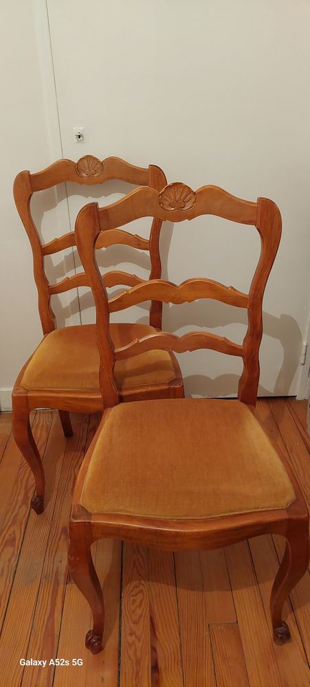 chaise massif 10 Bourgoin-Jallieu (38)