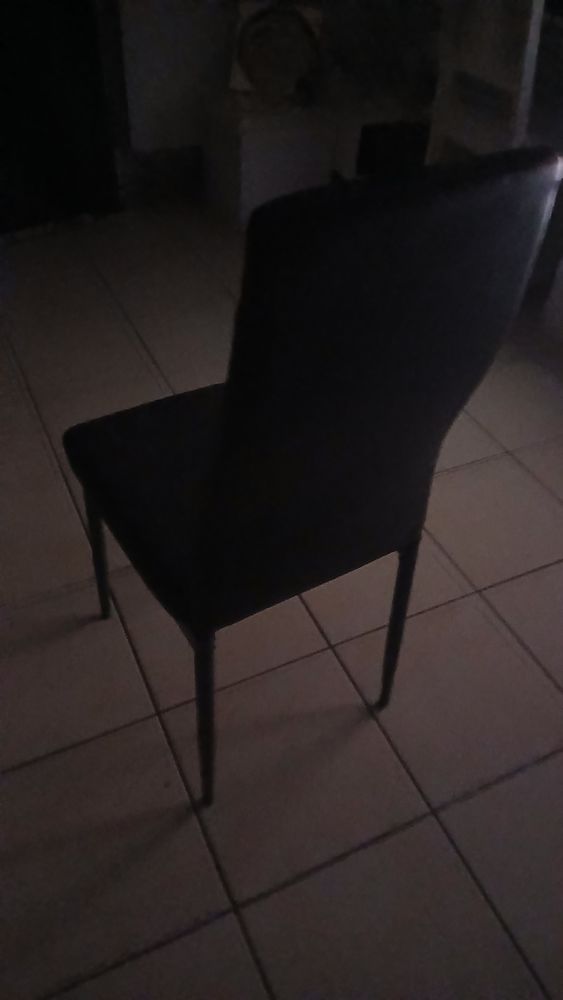 Chaise de salle a manger 20 Pl�dran (22)