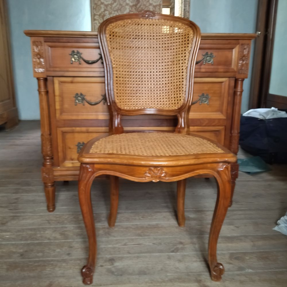 6 CHAISES CANNEES 100 B�nodet (29)