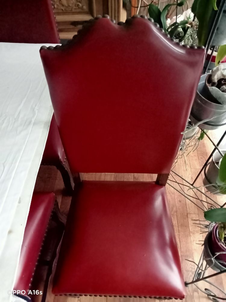 CHAISES EN CHENE ( 6) 50 Boulogne-sur-Mer (62)