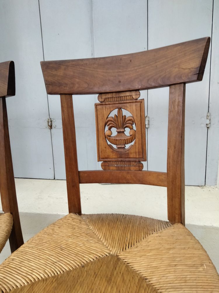 chaises directoire 0 Pauillac (33)