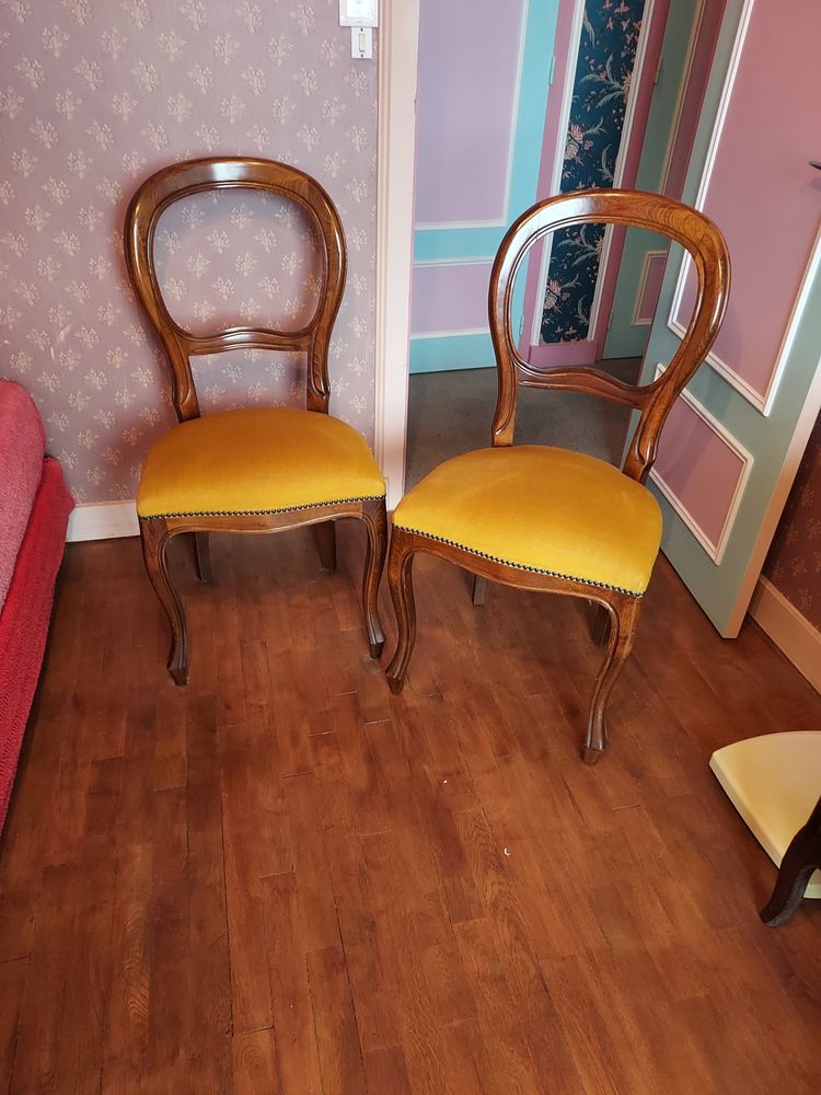 Lot de 2 chaises 30 Blois (41)