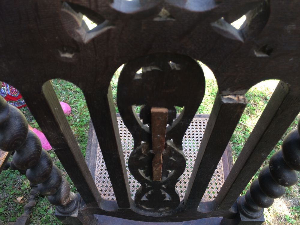 Chaises 1000 Choussy (41)