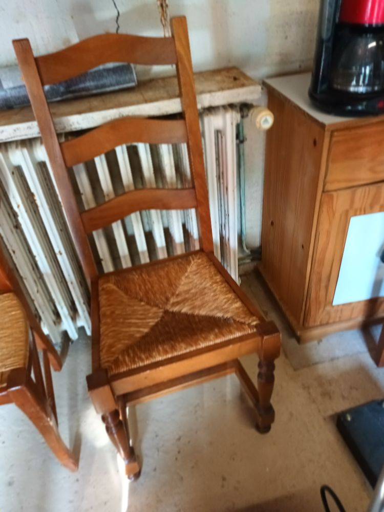 Chaises 100 Frise (80)