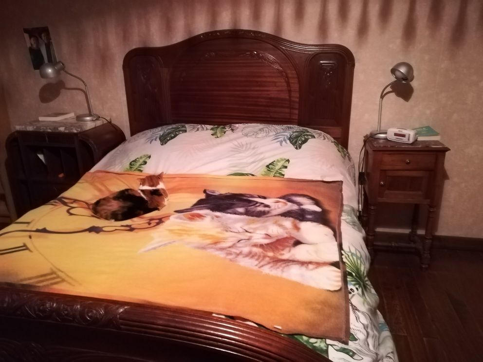 CHAMBRE A COUCHER COMPLETE
ART DECO  ACAJOU DE CUBA ( rare) 1500 La R�ole (33)