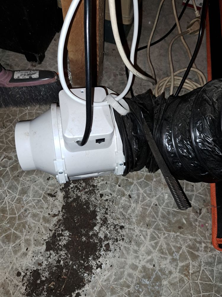 Chambre de pousse 250 Ch�teaurenard (13)