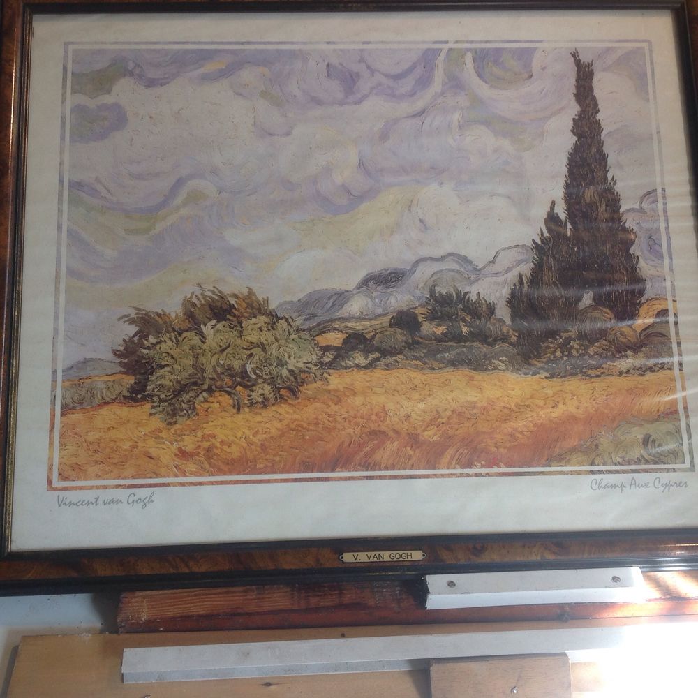 champ  Aux  Cypr�s 55 Senlis (60)