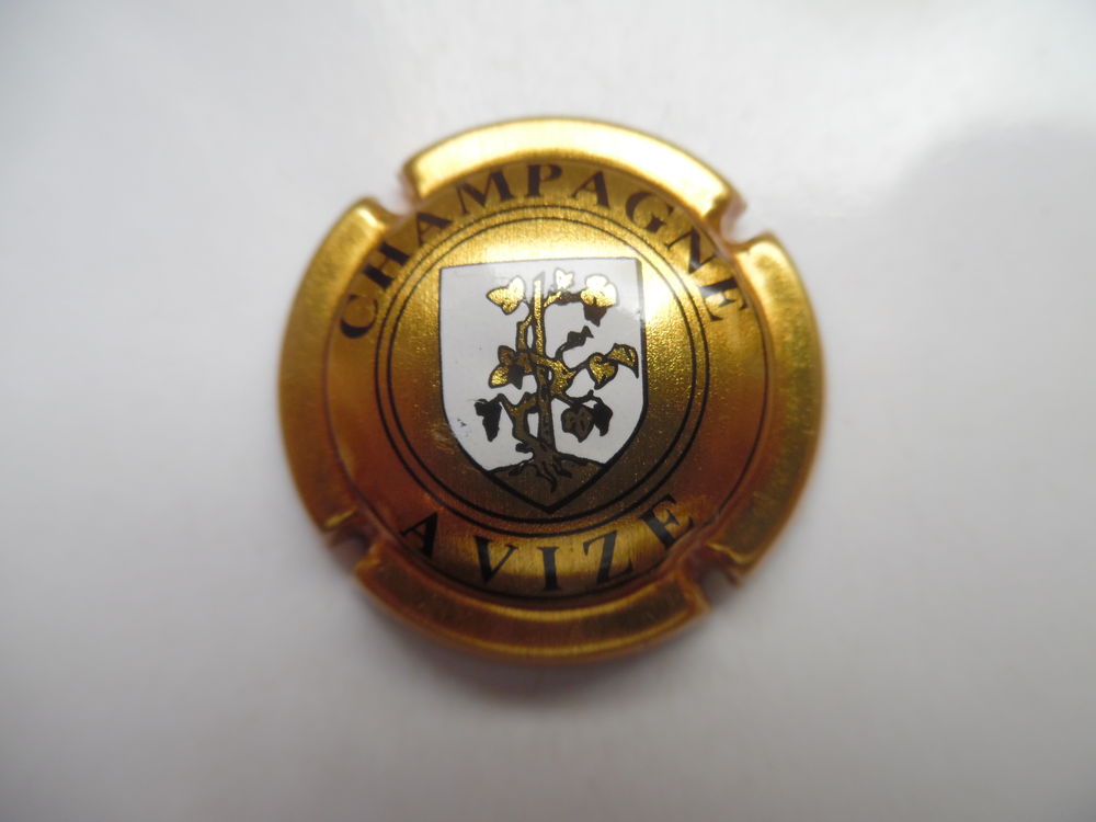 Champagne AVIZE. 1 Plivot (51)