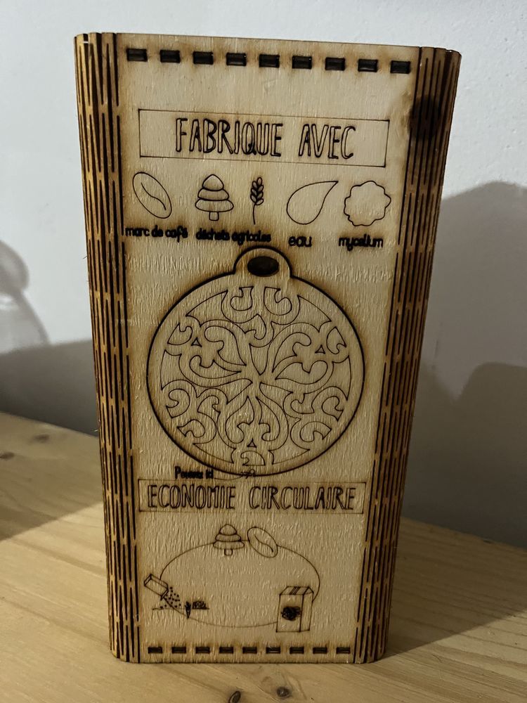 kit �  champignons bois 9 pousses pendant 6-8 mois cadeau de noel p�dagogique ludique �cologique 26 �r�me (26)