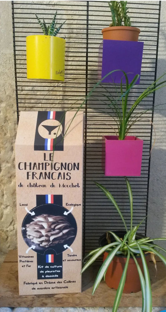 kit �  champignons carton 6 pousses id�e cadeau No�l �cologique p�dagogique ludique 23 �r�me (26)