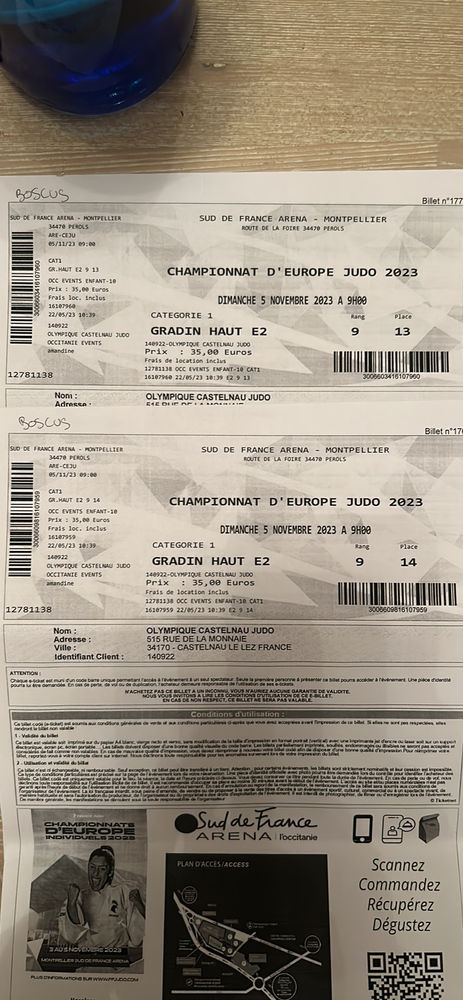 Championnat d'Europe de judo 20 Montpellier (34)