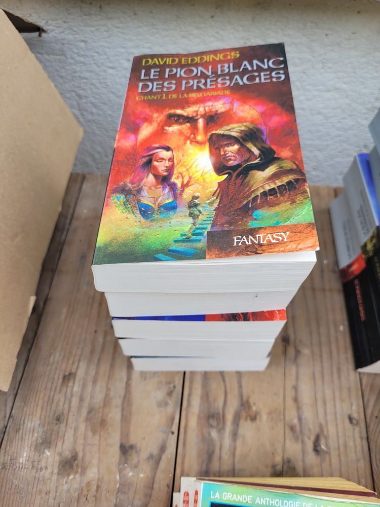 LE CHANT DE LA BELGARIADE - David Eddings 7 Th�s�e (41)