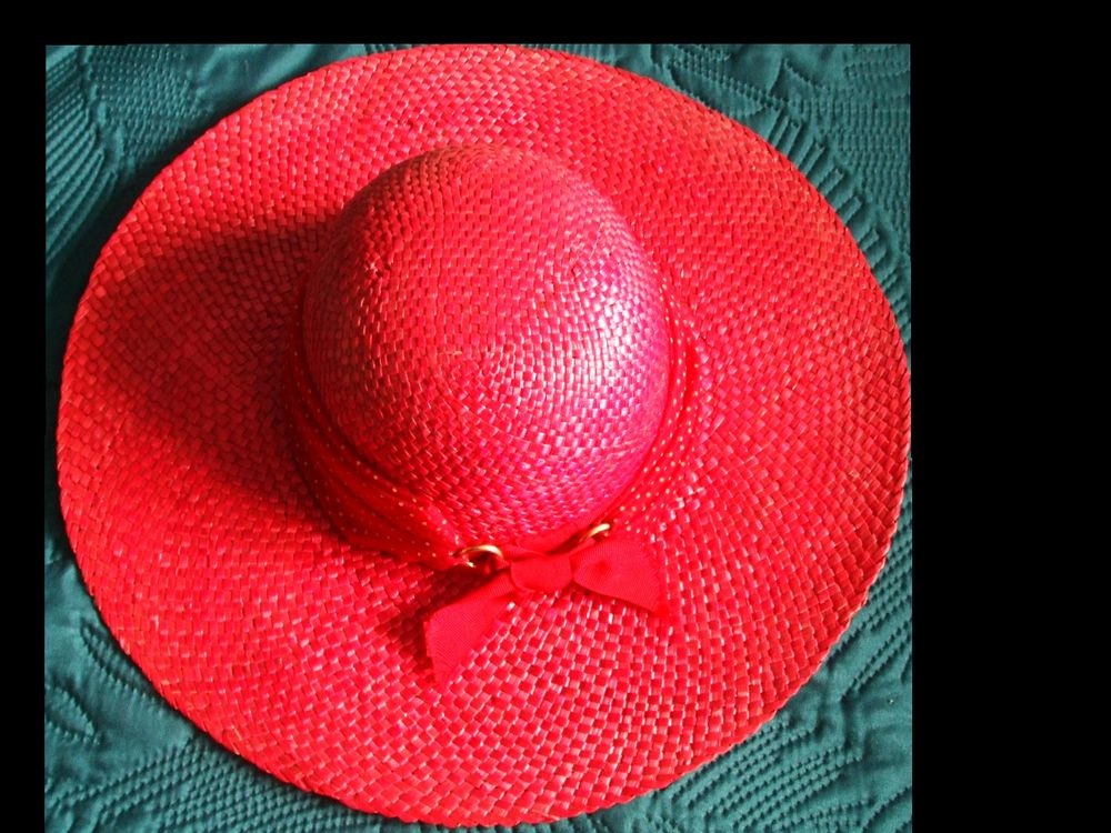  chapeau rouge 4 Yvrac (33)