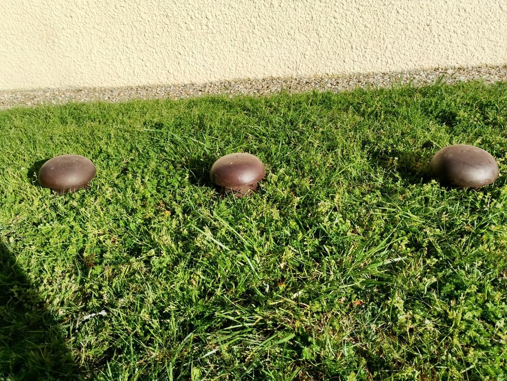 3 chapeaux de ventilation 15 Magnac-sur-Touvre (16)