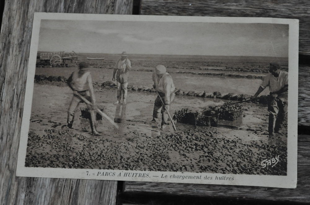 CPA Charente Maritime  Parcs � huitres  10 Nieuil-l'Espoir (86)