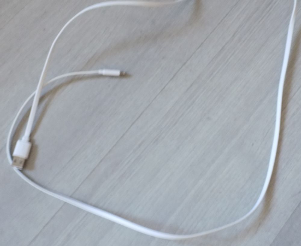 Chargeur 1 La Motte-d'Aveillans (38)