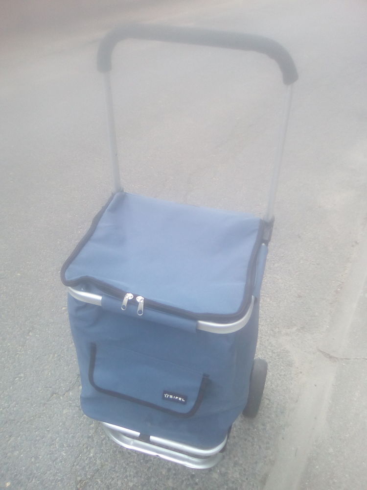 Chariot course Zifel 15 Beauchamp (95)