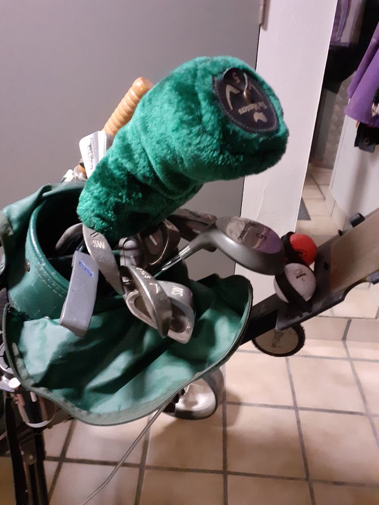 Chariot de golf 85 La Bourboule (63)