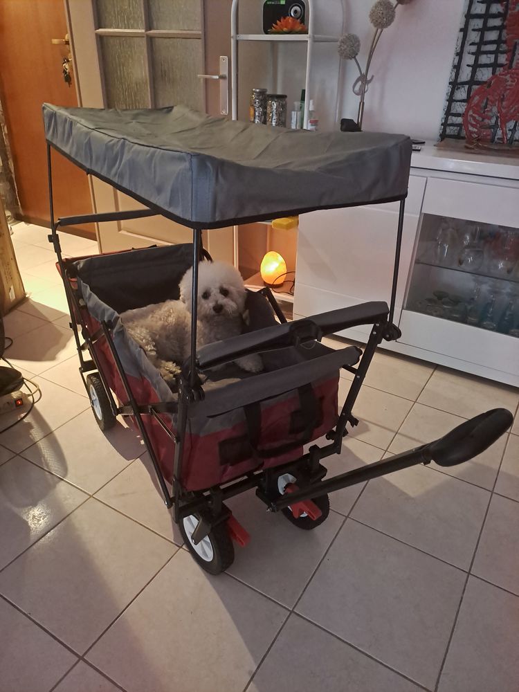 Chariot de jardin 80 Nice (06)