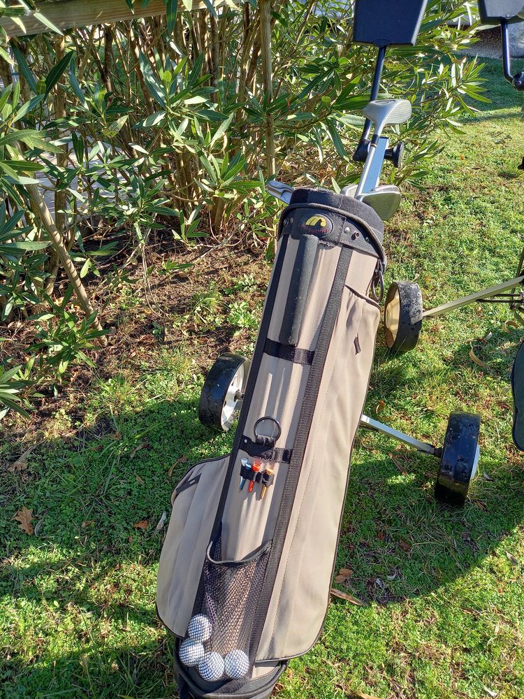   2 Chariots de golf 120 Andernos-les-Bains (33)