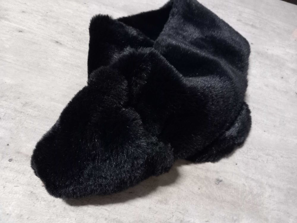 ��charpe Chat 10 Brignoles (83)