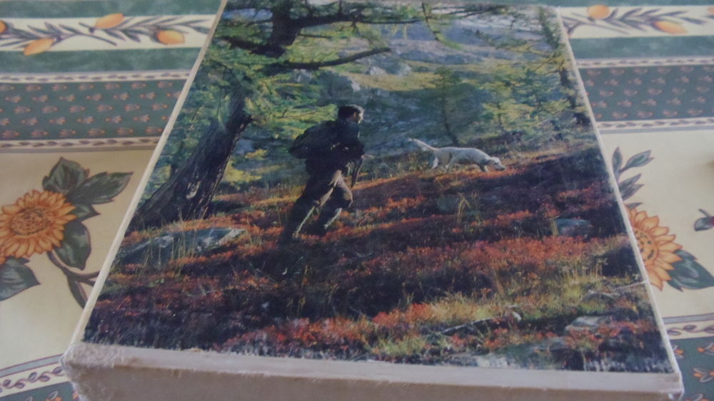 La chasse Paul Vialar 60 Castelnaudary (11)