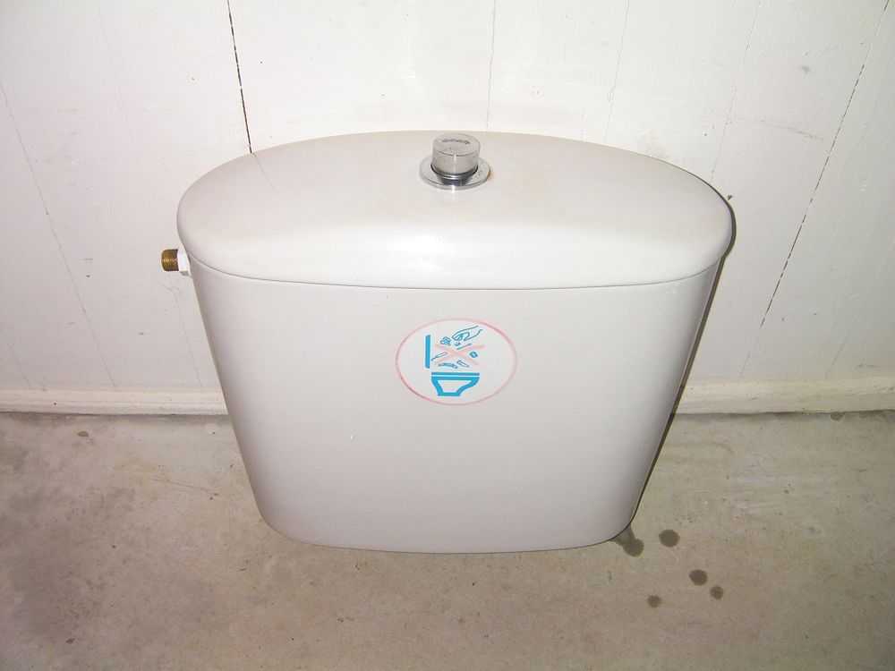 Chasse d'eau 10 Renaz� (53)