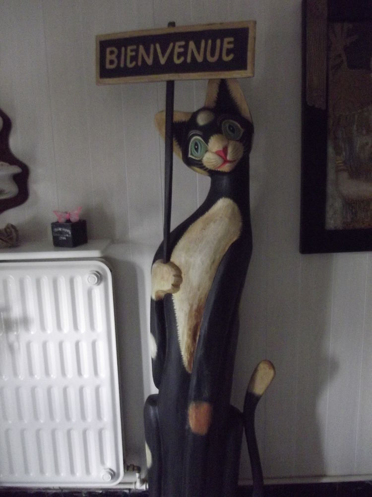 CHAT DE BIENVENU 80 Neuville-sur-Escaut (59)