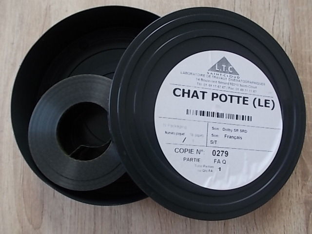 FA 35 mm : LE CHAT POTTE - 279 5 Salignac (33)