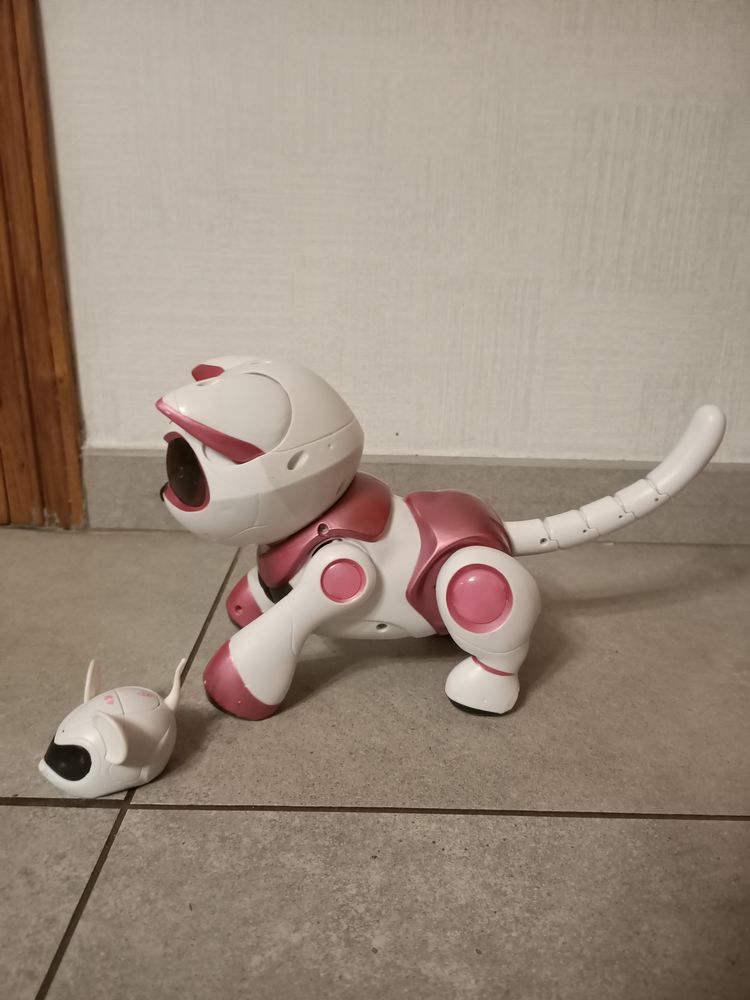 Achetez Chat Robot Quasi Neuf Annonce Vente A Aigne 72 Wb
