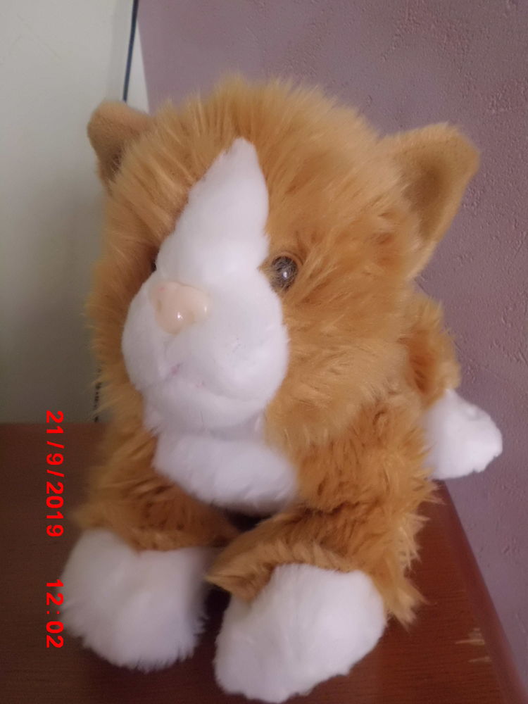 Peluche Chat Blanc Et Roux