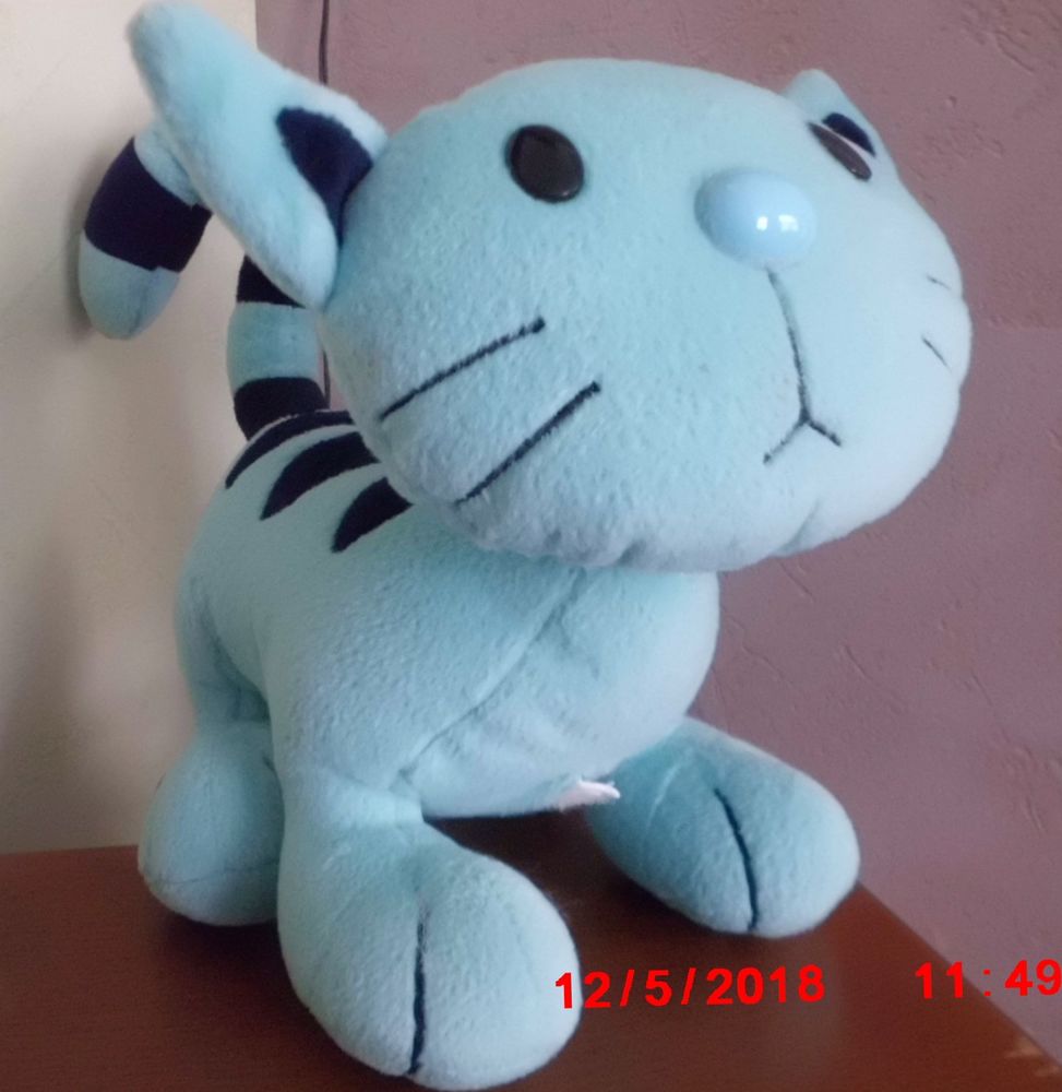 CHAT SARDINE INTERACTIF 24 Oignies (62)