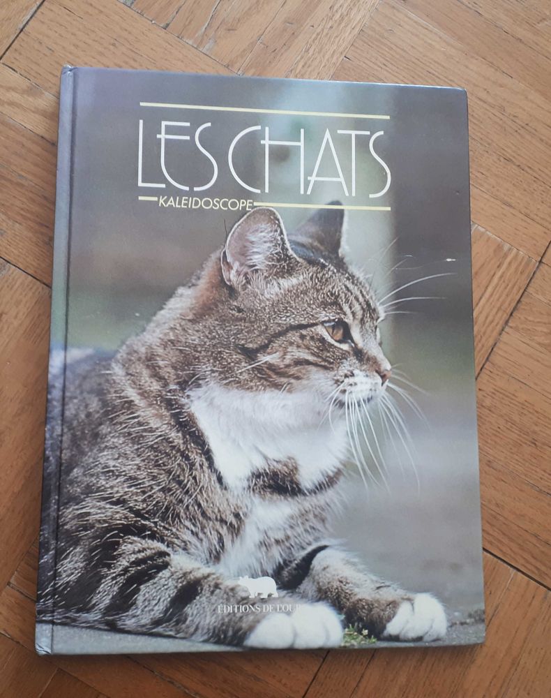 Les chats kal�idoscope 5 Villemomble (93)