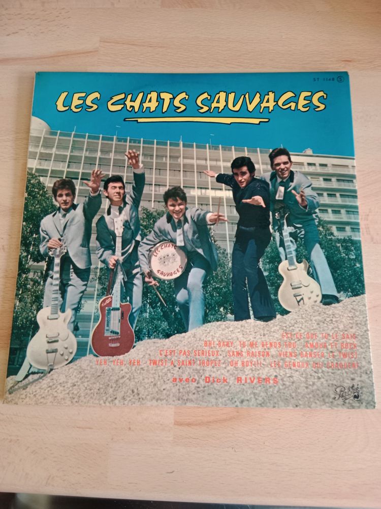 LES CHATS SAUVAGES 25 Cm 25 Saint-Herblain (44)