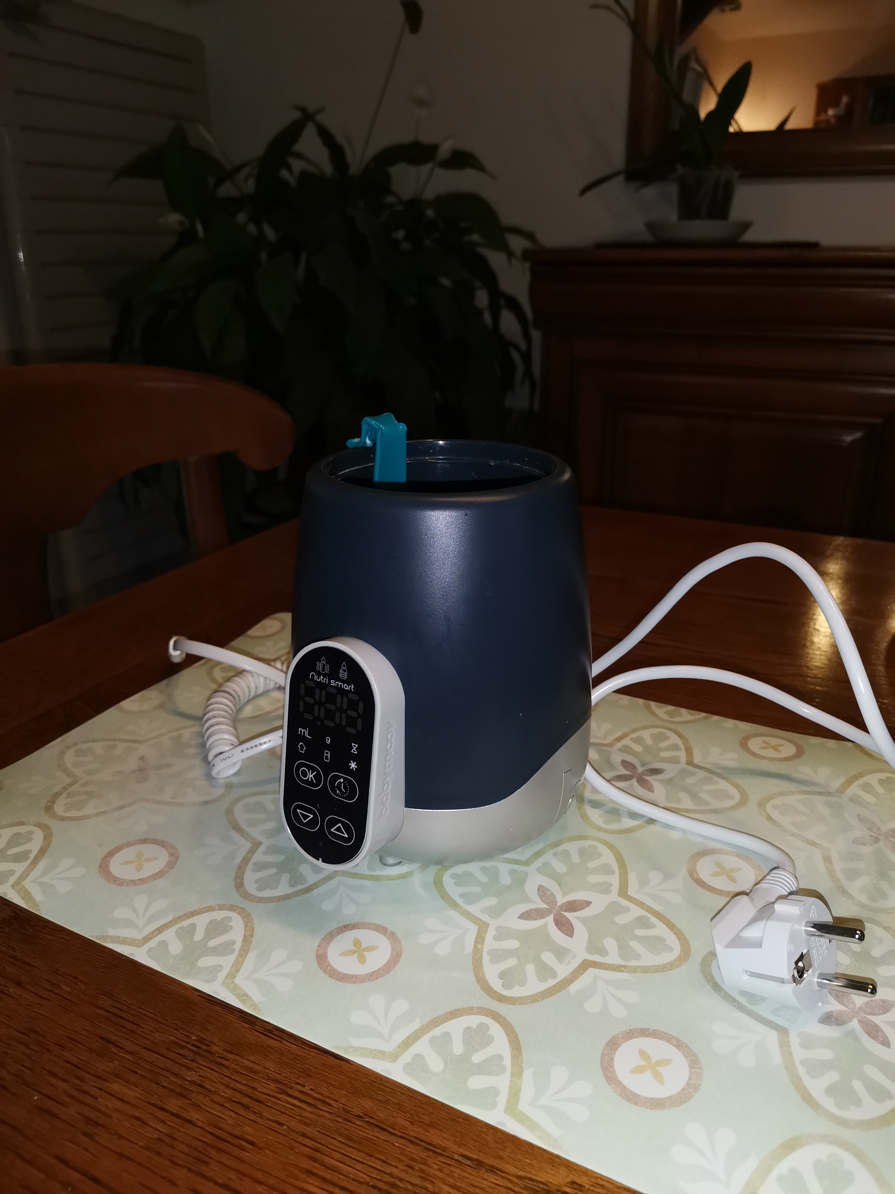 chauffe biberon 20 Avallon (89)