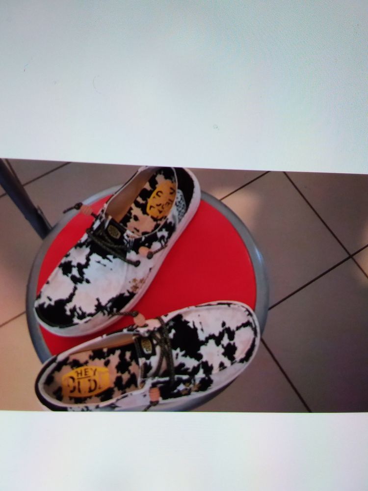 Chaussure toile 30 Vic-le-Comte (63)