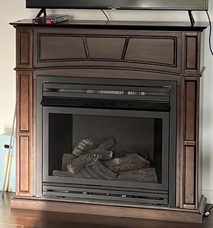 Chemin�e gaz Pleasant Hearth NEUVE 200 Plouha (22)