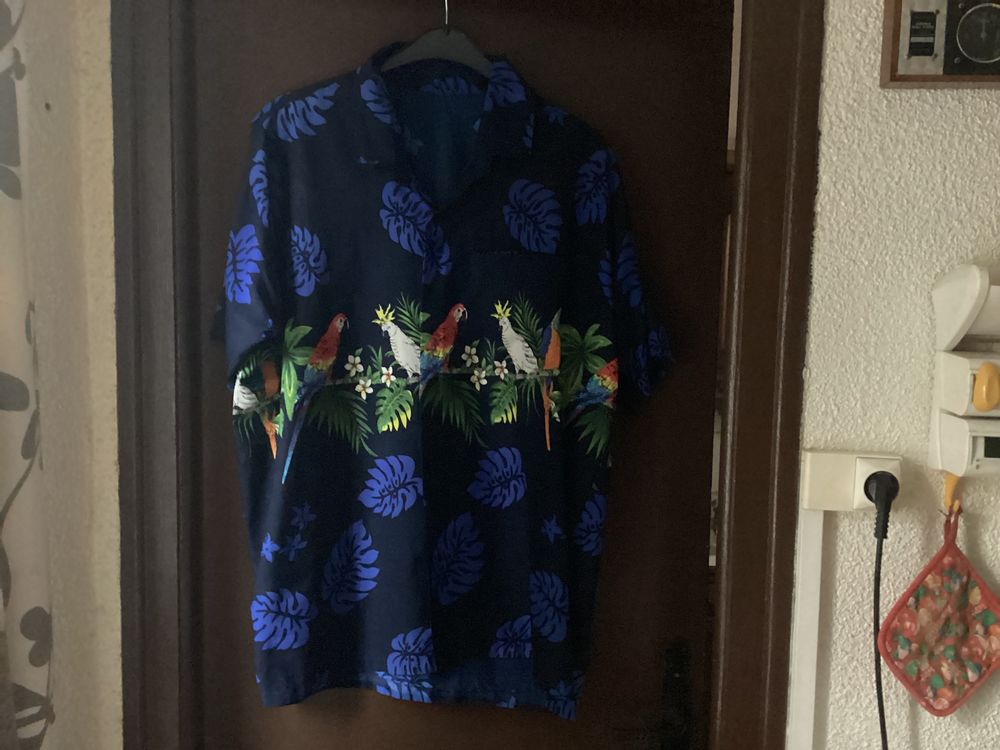 4 chemises tahitiennes 0 Pommiers (42)