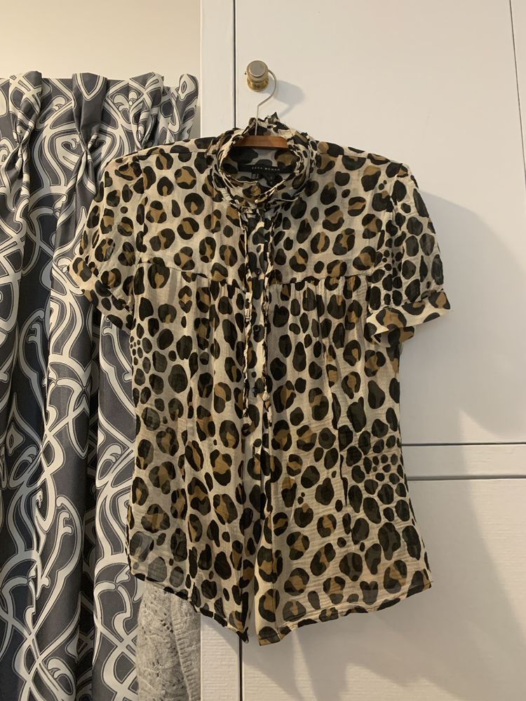 Chemisier couleur panth�re 10 Auribeau-sur-Siagne (06)