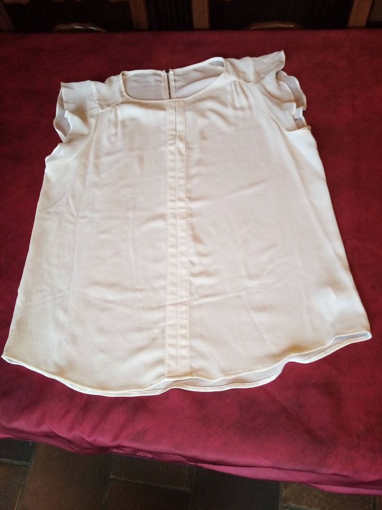 Chemisier sans manches taille L  5 Avermes (03)