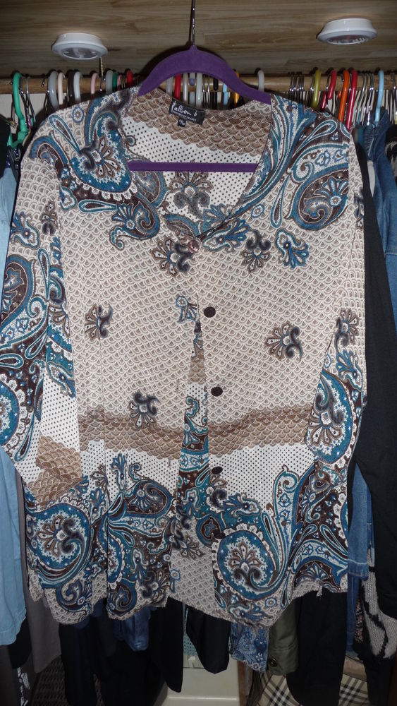 chemisier 10 Champignelles (89)