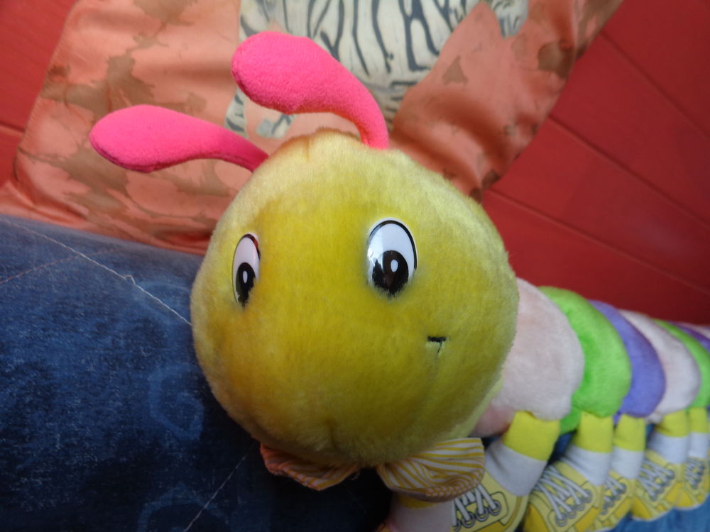 Chenille milles pattes 22pattes. 20 Theix (56)