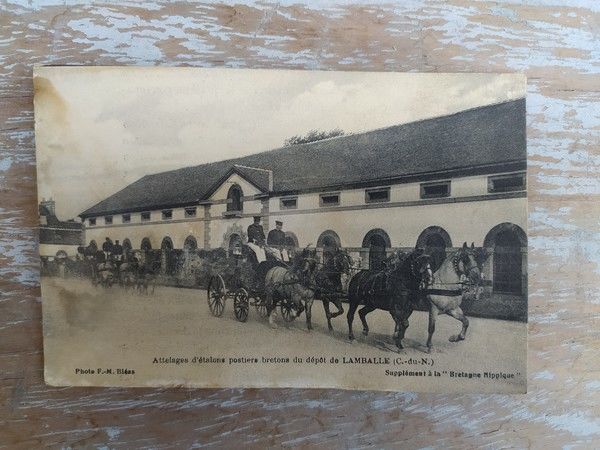 CPA Cheval Attelages �talons Postiers Bretons Lamballe 0 Loches (37)