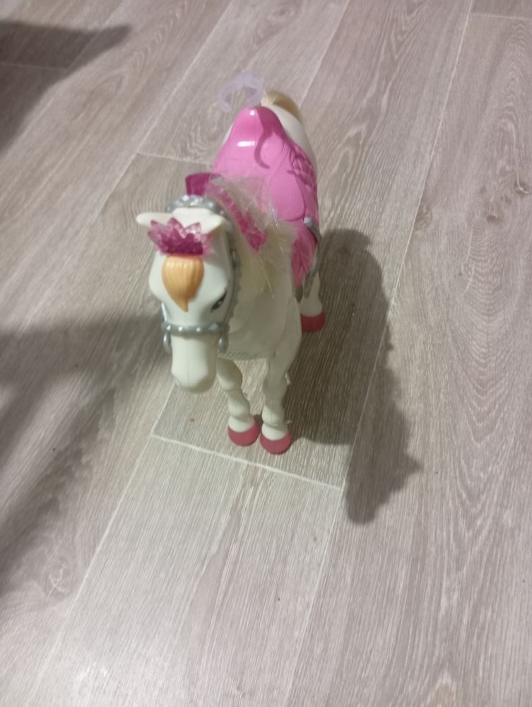 Cheval barbie 7 Tours (37)